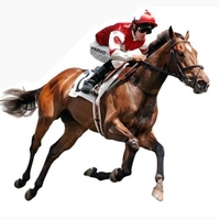 しらさぎレース‼️結果