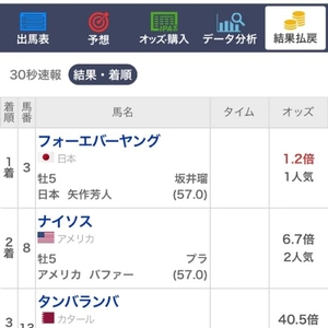 サウジカップ 2026 着順