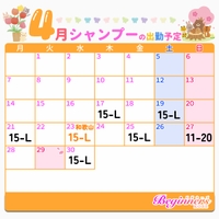 ♡ 4月後半の出勤予定 🌸 ♡