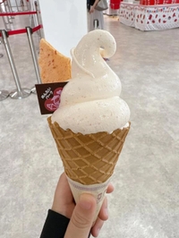 わぁいo(⸝⸝⸝ˆoˆ⸝⸝⸝)o