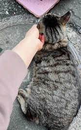 みたよ／シフト