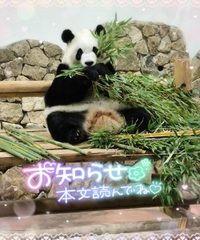 📢大切なお知らせ📢