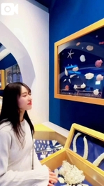 【🎥843】沖縄part4🌴🌺