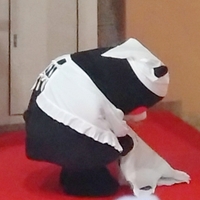 もも