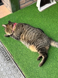 こんばんは🌛