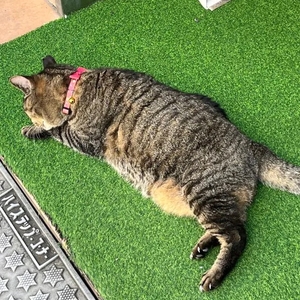 こんばんは🌛