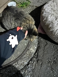 みたよ／シフト