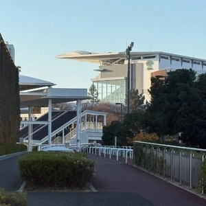 ここどこかわかるひといるかなー？