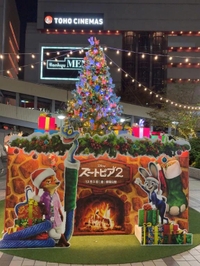 💋あこの好きな…🦊🐰