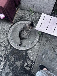 今日もありがとう💕