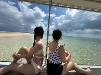 ラストまでの日もチラホラ