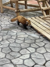 とりあえず