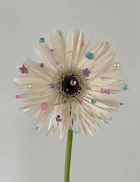 ✨【お礼写メ日記】✨