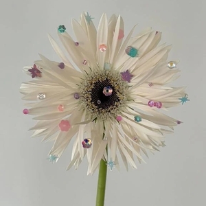 ✨【お礼写メ日記】✨