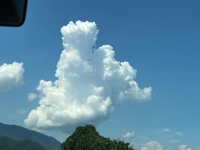 お疲れ様🥺🙏