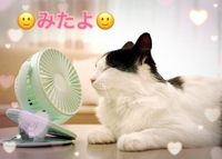 みたよ(*ˊ˘ˋ*)♡