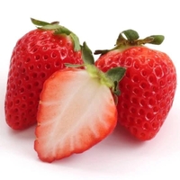 いちご大好きーーー！！！！