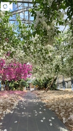 🎥【動くエリサ】“あなたは素敵”