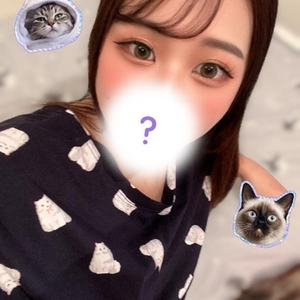 つぎは水曜日です 🐾