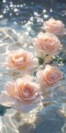 ごめんなさい🙇‍♀️