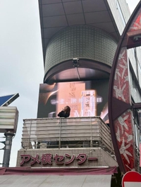 気温はそうでもないけど、ジメジメするね〜🫩🫩