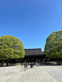 ご利益お裾分け⛩️