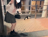 癒されちゃう？