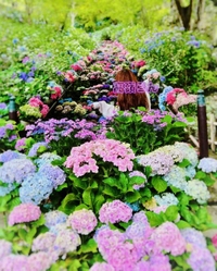 明日から♨️︎💕︎