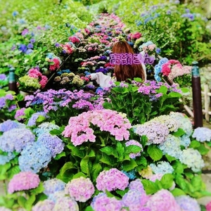 明日から♨️︎💕︎