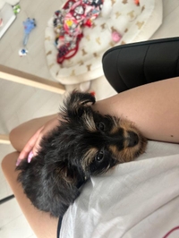 次回！！！✨️