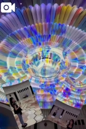 【🎥232】言葉じゃ伝わらないこと