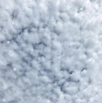 良い天気！