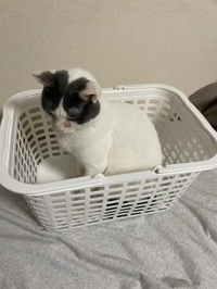 おはようございます🫧