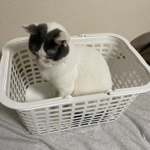 おはようございます🫧