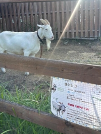 今日はありがとう😍