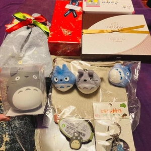 中トトロだぁいすき💙