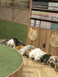 寒がりならん、、、