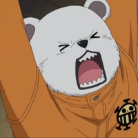 と思ったら今日は満員御礼🈵