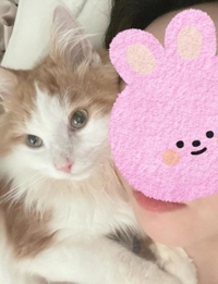 💗まだまだ寝れる💗