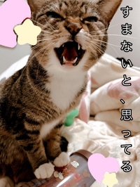 ごめんなさい💦