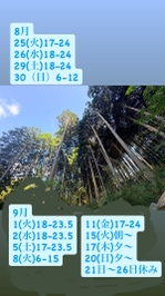 8月9月予定