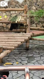 あぁあぁあ〜〜〜😭😭😭