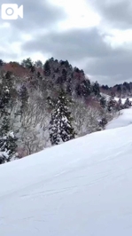 【🎥880】明日は……