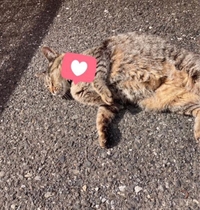 みたよ／シフト