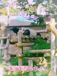 ????可哀想……私……（笑）