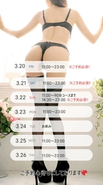 🐈‍⬛緊急速報🚨✨️🐈‍⬛