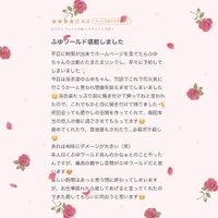 【お礼写メ日記】