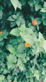 10.10の日でした！！