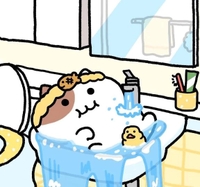 次回15:50頃～🈳