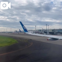 (  ⁎ᵕᴗᵕ⁎  )